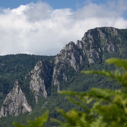 Mokra gora