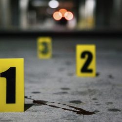 Crime 600x360